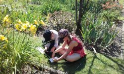 Classe Decouverte Rouen   025